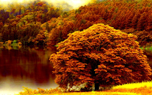 673888 (a): :1920x1200